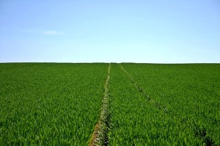 Establish a Company in Agriculture in Liechtenstein